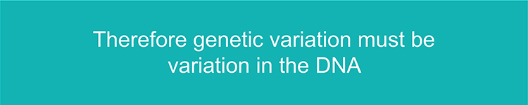 Text to remember that genetic variation is the variation of DNA